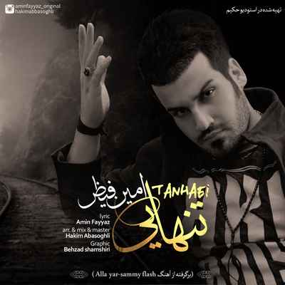 دانلود آهنگ جدید امین فیاض تنهایی