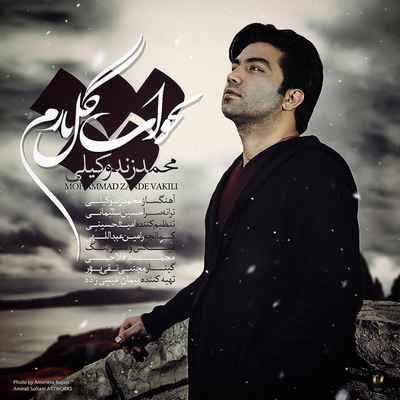 دانلود آهنگ جدید محمد زند وکیلی بخواب گل نازم