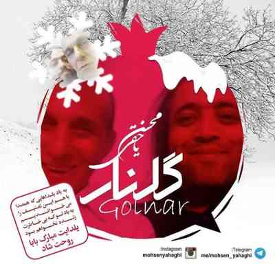 دانلود آهنگ جدید محسن یاحقی گلنار