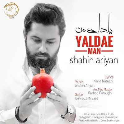 دانلود آهنگ جدید شاهین آرین یلدای من