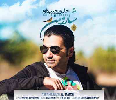 دانلود آهنگ جدید شارومین حال عجیبی دارم