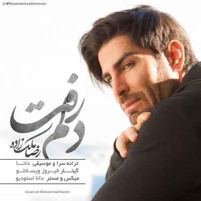 دانلود آهنگ جدید رضا ملک زاده دلم رفت