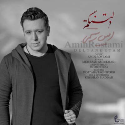 دانلود آهنگ جدید امین رستمی دلتنگم