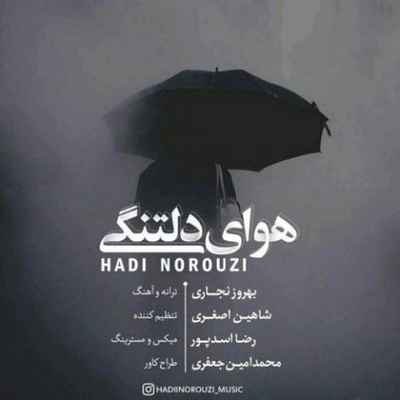 دانلود آهنگ جدید هادی نوروزی هوای دلتنگی
