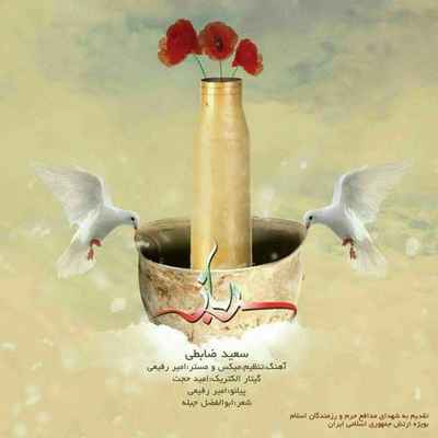 دانلود آهنگ جدید سعید ضابطی سرباز
