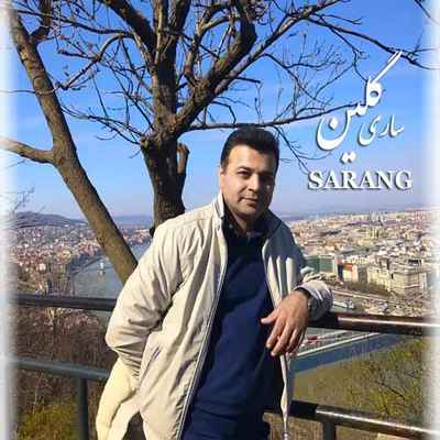 دانلود آهنگ جدید سارنگ ساری گلین