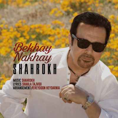 دانلود آهنگ جدید شاهرخ بخوای نخوای