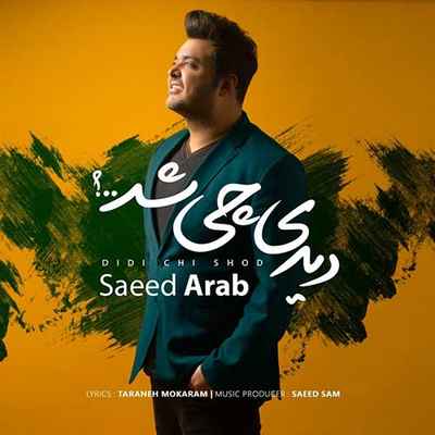 دانلود آهنگ جدید سعید عرب دیدی چی شد